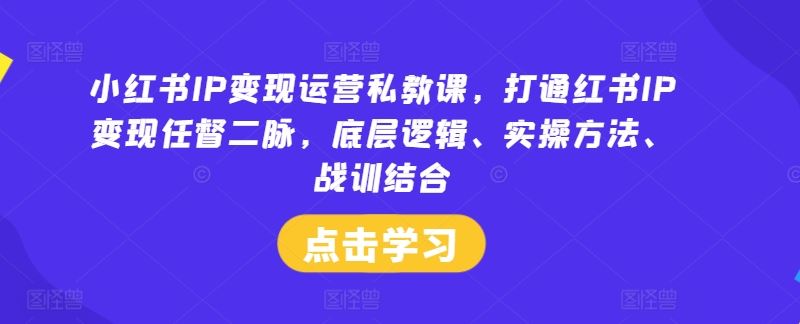 小红书IP变现运营私教课，打通红书IP变现任督二脉，底层逻辑、实操方法、战训结合-解忧云网络