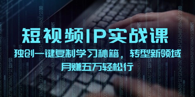 （12193期）短视频 IP实战课，独创一键复制学习秘籍，转战新领域，月赚五万轻松行-解忧云网络