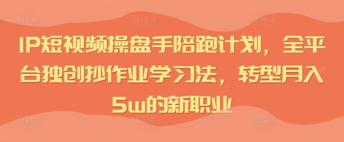 IP短视频操盘手陪跑计划，全平台独创抄作业学习法，转型月入5w的新职业-解忧云网络