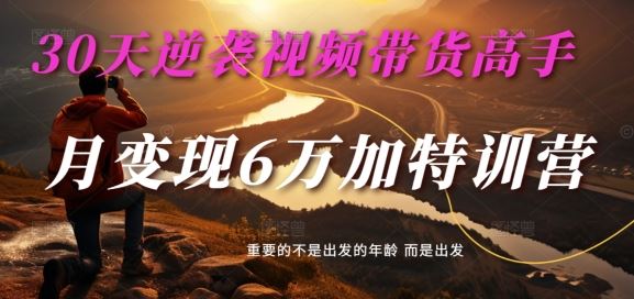 30天逆袭视频带货高手，单月变现6万加特训营-麦子甜-解忧云网络