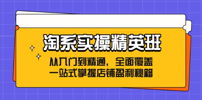 （12276期）淘系实操精英班：从入门到精通，全面覆盖，一站式掌握店铺盈利秘籍-解忧云网络