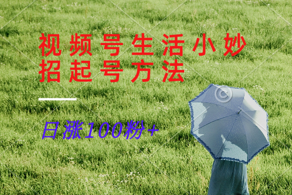 视频号生活小妙招分享赛道， 起号涨粉新方法，日涨100粉-解忧云网络