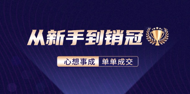 （12383期）从新手到销冠：精通客户心理学，揭秘销冠背后的成交秘籍-解忧云网络