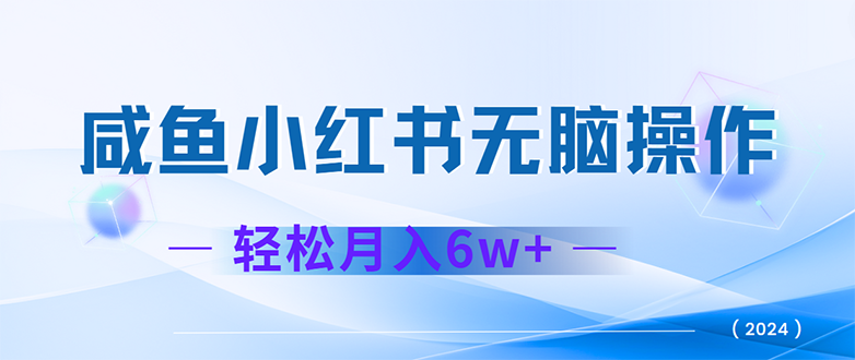 （12450期）2024赚钱的项目之一，轻松月入6万+，最新可变现项目-解忧云网络