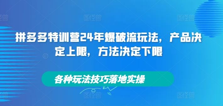 拼多多特训营24年爆破流玩法，产品决定上限，方法决定下限，各种玩法技巧落地实操-解忧云网络