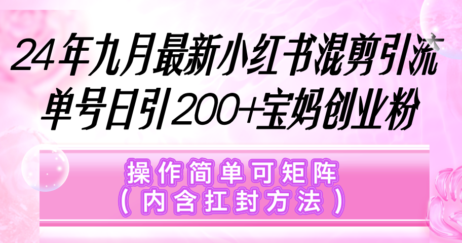 （12530期）小红书混剪引流，单号日引200+宝妈创业粉，操作简单可矩阵（内含扛封…-解忧云网络