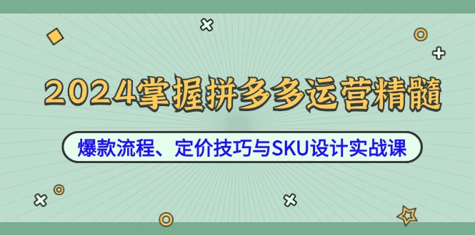 （12703期）2024掌握拼多多运营精髓：爆款流程、定价技巧与SKU设计实战课-解忧云网络