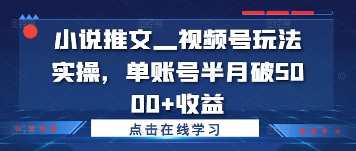 小说推文—视频号玩法实操，单账号半月破5000+收益-解忧云网络