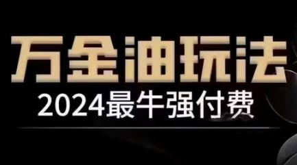 2024最牛强付费，万金油强付费玩法，干货满满，全程实操起飞-解忧云网络