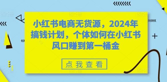 小红书电商无货源，2024年搞钱计划，个体如何在小红书风口赚到第一桶金-解忧云网络
