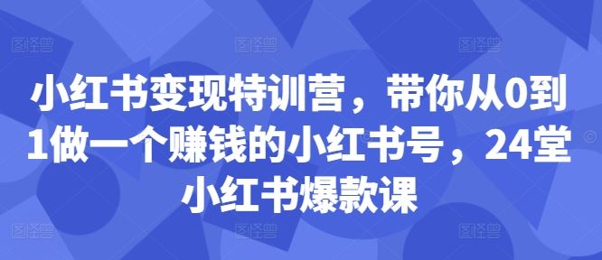 小红书变现特训营，带你从0到1做一个赚钱的小红书号，24堂小红书爆款课-解忧云网络