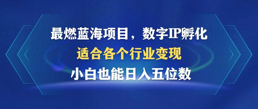 （12941期）最燃蓝海项目  数字IP孵化  适合各个行业变现  小白也能日入5位数-解忧云网络