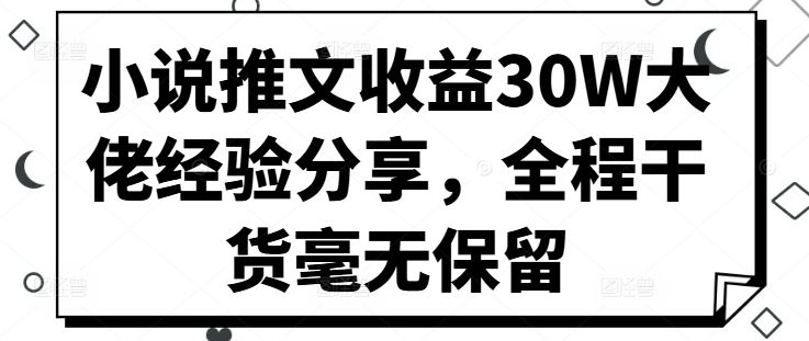 小说推文收益30W大佬经验分享，全程干货毫无保留-解忧云网络