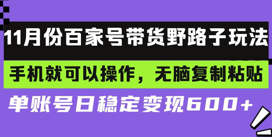 （13281期）百家号带货野路子玩法 手机就可以操作，无脑复制粘贴 单账号日稳定变现…-解忧云网络