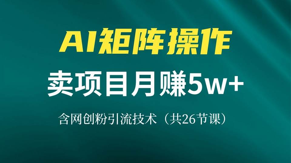 （13335期）网创IP打造课，借助AI卖项目月赚5万+，含引流技术（共26节课）-解忧云网络