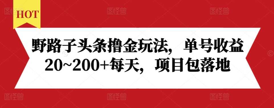 野路子头条撸金玩法，单号收益20~200+每天，项目包落地-解忧云网络