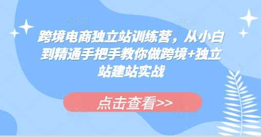 跨境电商独立站训练营，从小白到精通手把手教你做跨境+独立站建站实战-解忧云网络