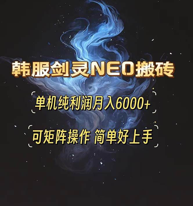 （13435期）韩服剑灵NEO搬砖攻略，单机纯利润月入6000+ 可矩阵操作，简单好上手。-解忧云网络