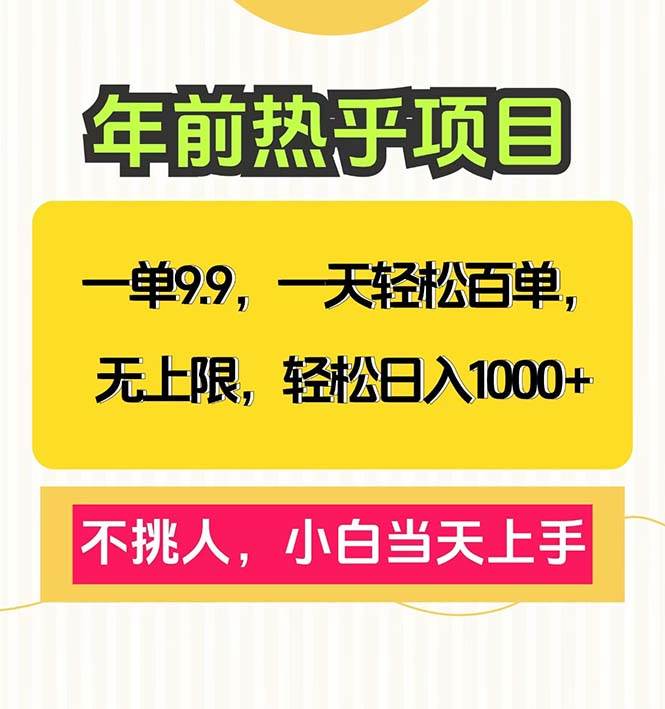 （13795期）一单9.9，一天百单无上限，不挑人，小白当天上手，轻松日入1000+-解忧云网络